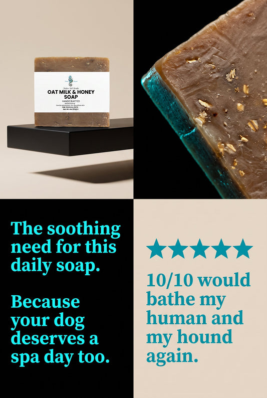 Oat Milk Honey Soap — Gentle Bar Soap for People & Pets - Native Salt Scrubs
