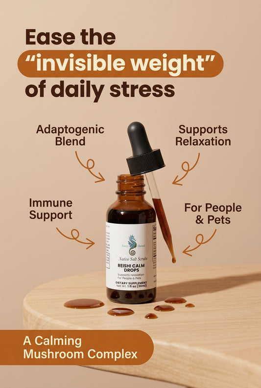 Mushroom Energy & Cognition Drops - Native Salt Scrubs