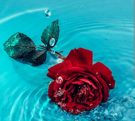 ROSE BODY SPRAY - Native Salt Scrubs