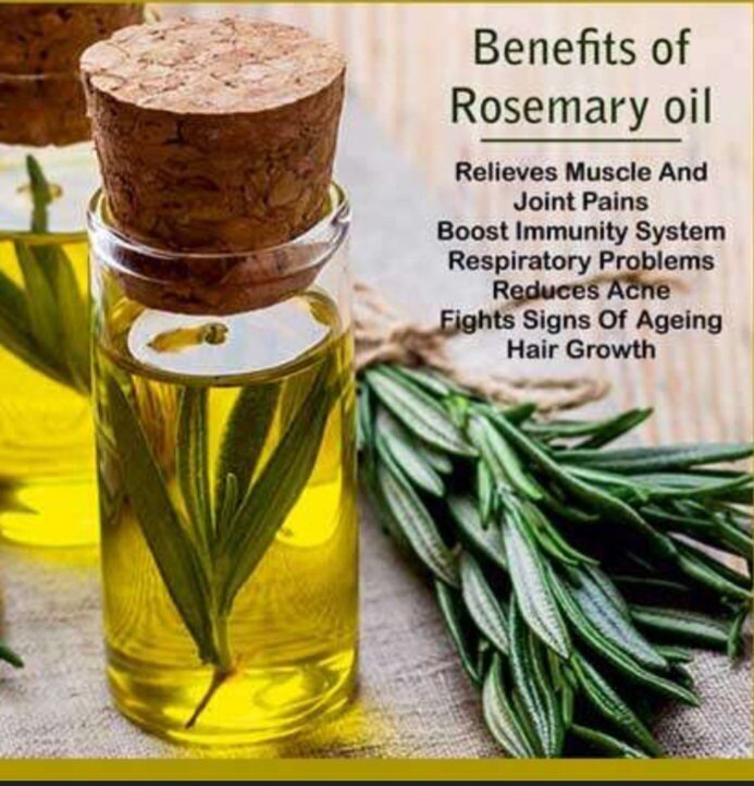 Rosemary Mint Body Lotion with Aloe & Jojoba, Organic, Cruelty Free - Native Salt Scrubs
