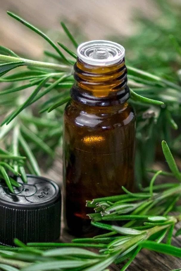 Rosemary Mint Body Lotion with Aloe & Jojoba, Organic, Cruelty Free - Native Salt Scrubs